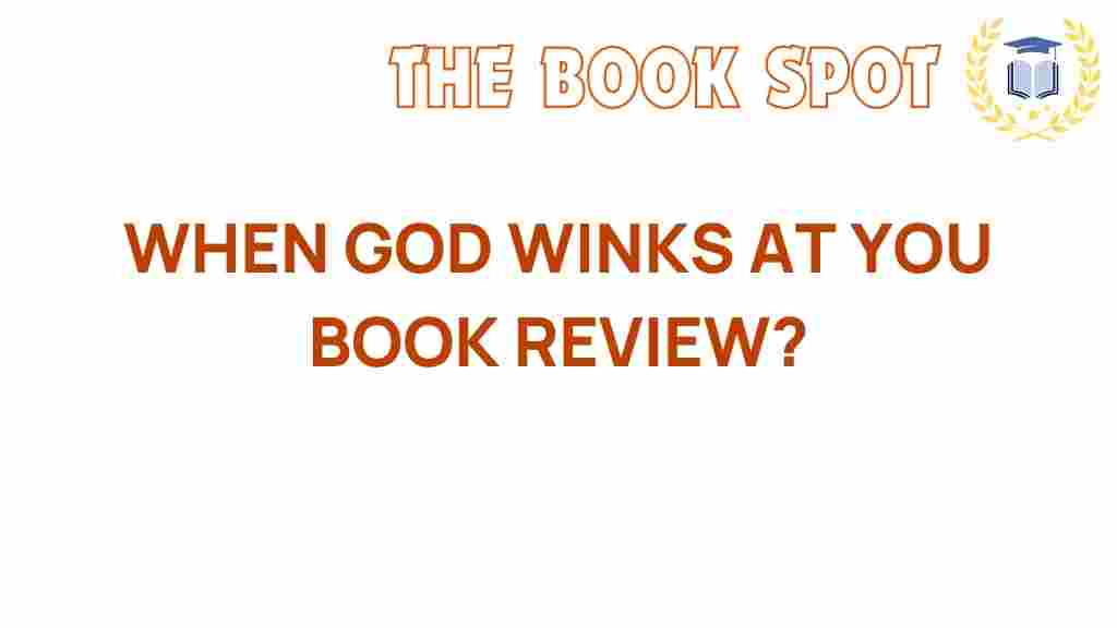 when-god-winks-at-you-book-review